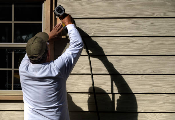 Best Vinyl Siding Installation  in Rome, IL